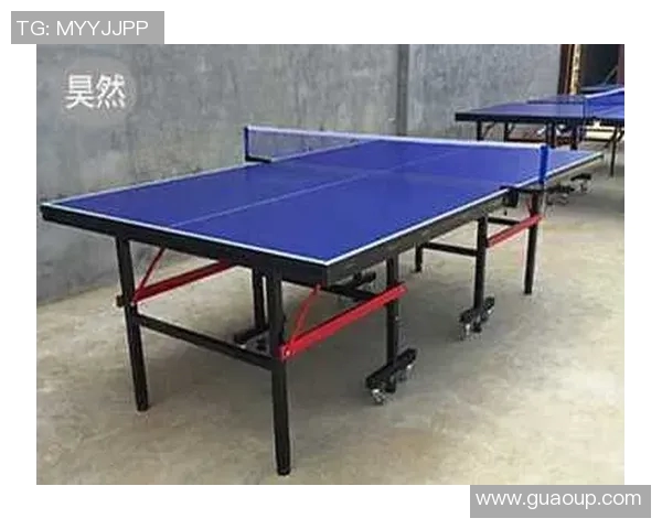 精英乒乓网器材商城全面升级优质乒乓器材一站式购物体验等你来发现 精英乒乓网器材商城全面升级优质乒乓器材一站式购物体验等你来发现