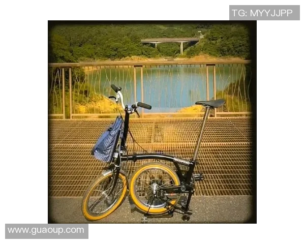 探索bike8的骑行乐趣与健康生活方式的完美结合